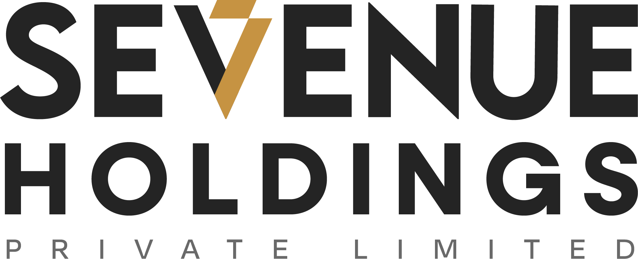 Sevenue Holdings Private Limited