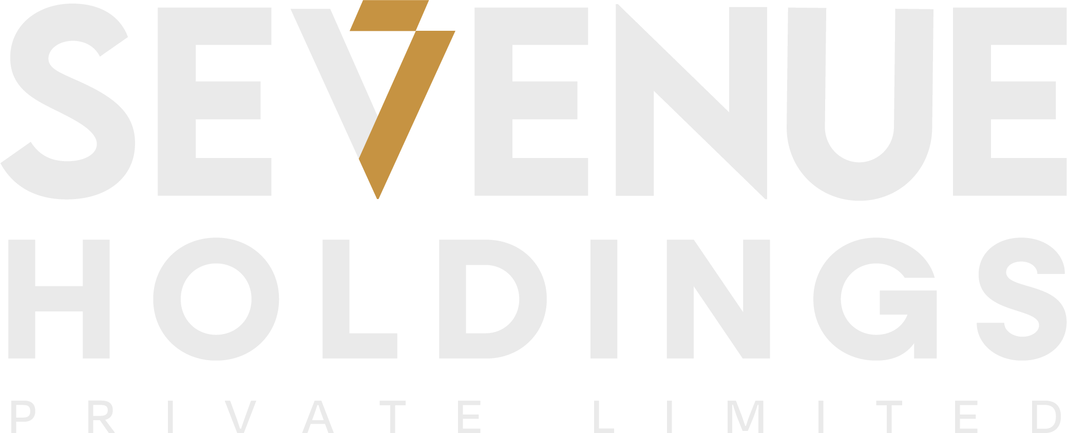 Sevenue Holdings Private Limited